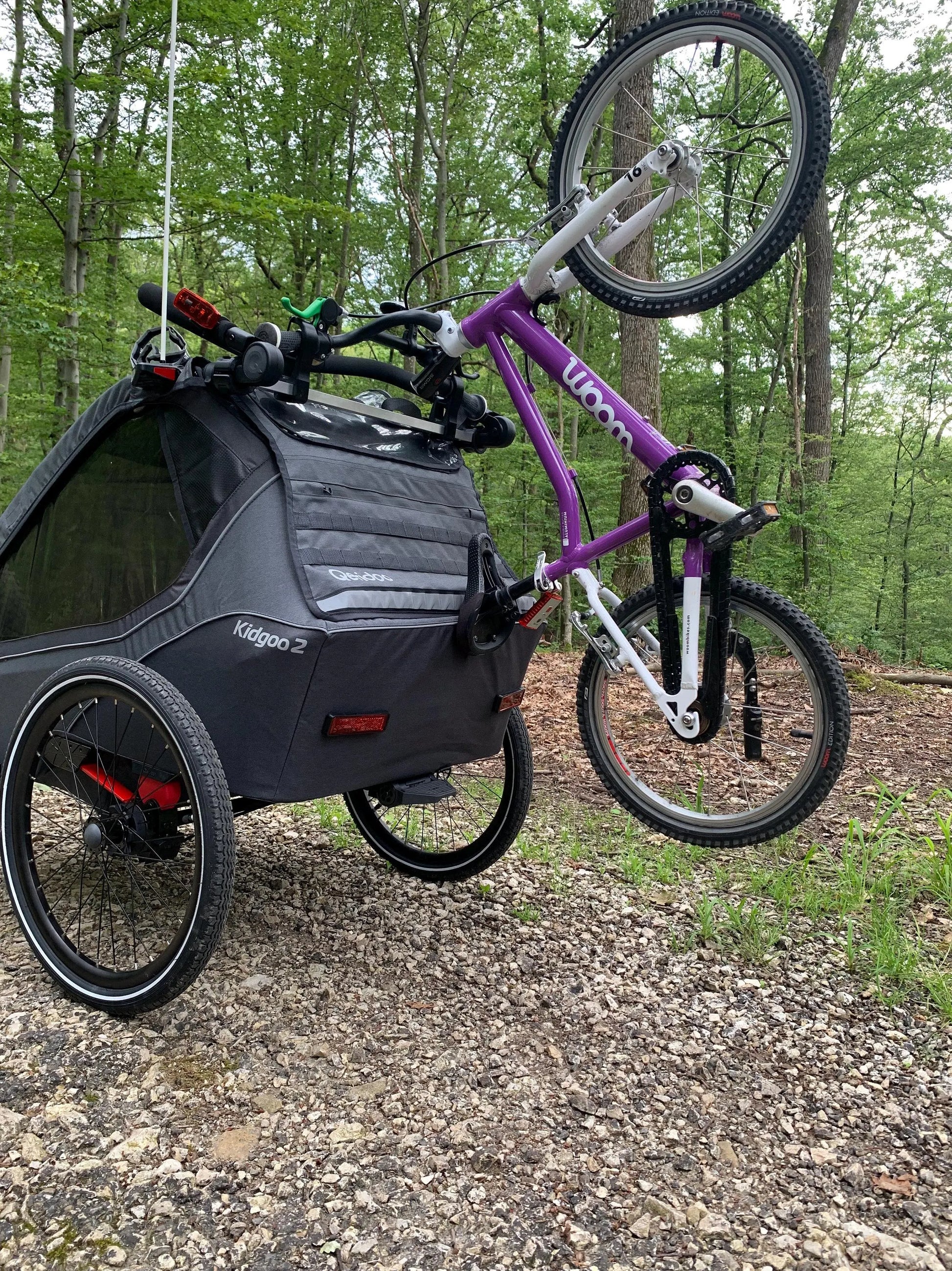 Qeridoo Kinderfahrrad Halterung Kidgoo 2 ab 2020